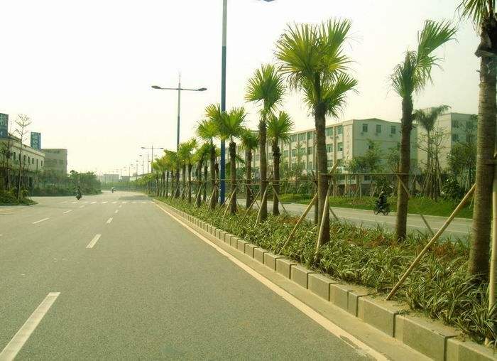 佛平路.jpg