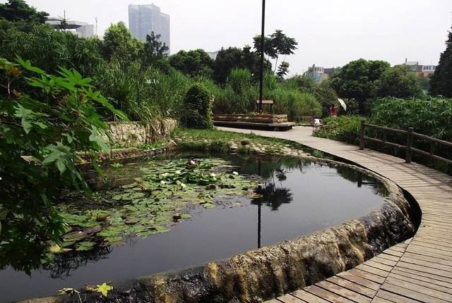 鲁岗公园.jpg